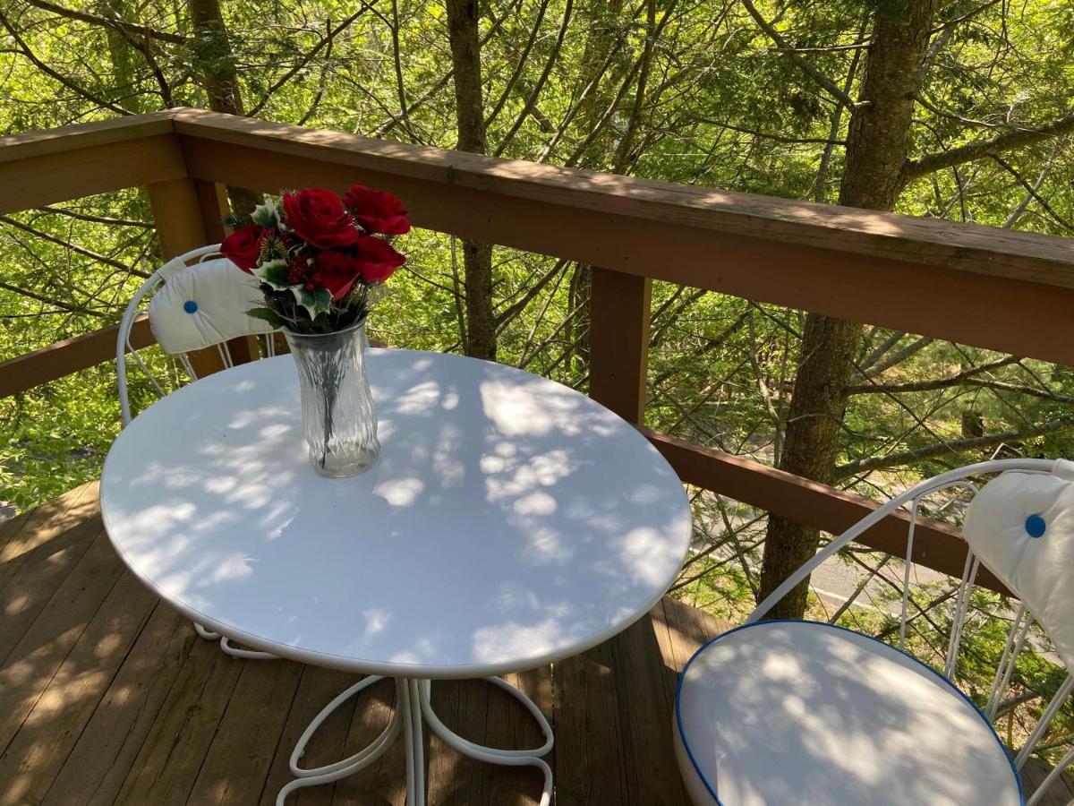 Saw Creek Cabin - Regent Hilltop Bushkill Εξωτερικό φωτογραφία
