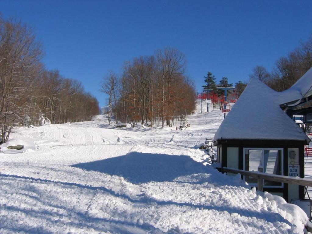 Saw Creek Cabin - Regent Hilltop Bushkill Εξωτερικό φωτογραφία