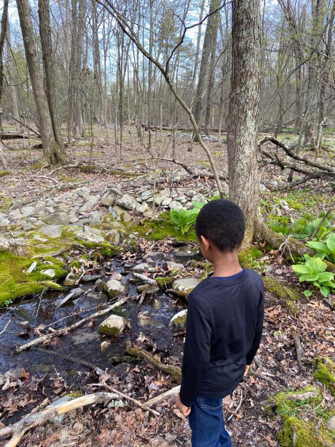Saw Creek Cabin - Regent Hilltop Bushkill Εξωτερικό φωτογραφία