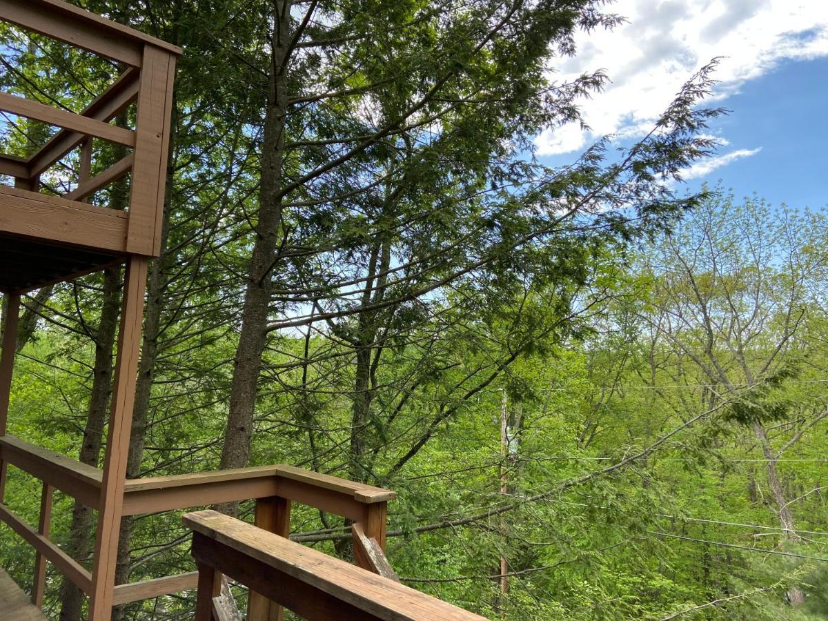 Saw Creek Cabin - Regent Hilltop Bushkill Εξωτερικό φωτογραφία